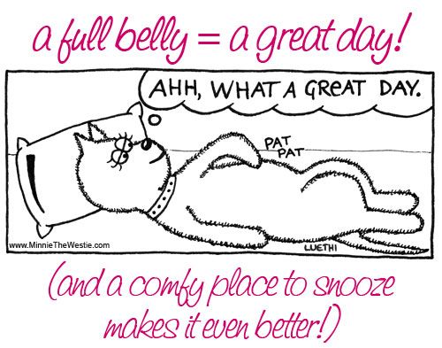full-belly-great-day.jpg